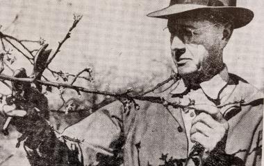 How to Care for Your Fruit Trees in the Winter How to Care for Your Fruit Trees in the Winter