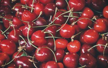 Tart vs Sweet Cherries Tart vs Sweet Cherries