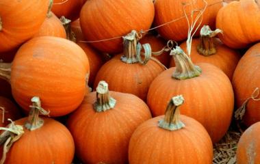 Ways to Use Pumpkins