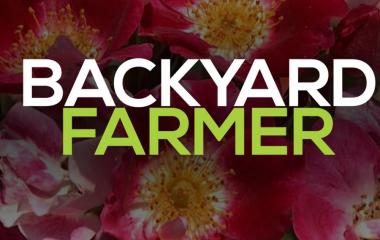 Watch, Learn, and Grow: Using Backyard Farmer to Grow Knowledge and Gardens Watch, Learn, and Grow: Using Backyard Farmer to Grow Knowledge and Gardens