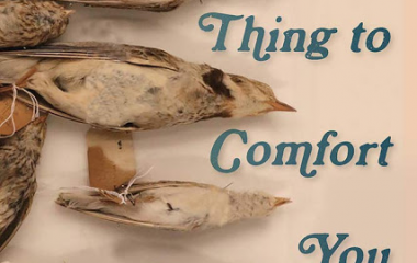 Emily Wortman-Wunder Wins 2020 Colorado Book Award Emily Wortman-Wunder Wins 2020 Colorado Book Award