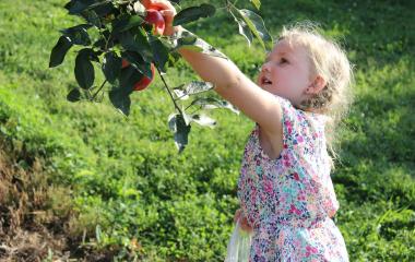 Challenges of Growing Fruits Challenges of Growing Fruits