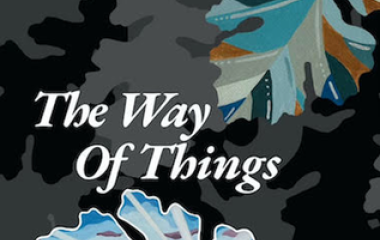 The Way of Things, Poetry by Shannon Vesely, published by Rogue Faculty Press The Way of Things, Poetry by Shannon Vesely, published by Rogue Faculty Press